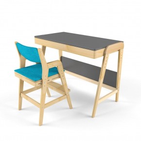 Комплект растущий стол и стул с чехлом 38 попугаев «Вуди» (Серый, Без покрытия, Лазурь) в Нягани - nyagan.mebel-74.com | фото