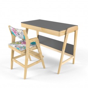 Комплект растущий стол и стул с чехлом 38 попугаев «Вуди» (Серый, Без покрытия, Мечта) в Нягани - nyagan.mebel-74.com | фото