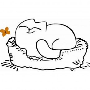 Кровать двухуровневая Кот № 900.1 ЛЕВАЯ (туя светлая/белый) в Нягани - nyagan.mebel-74.com | фото