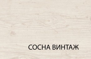 Шкаф 2DG2S, MAGELLAN, цвет Сосна винтаж в Нягани - nyagan.mebel-74.com | фото