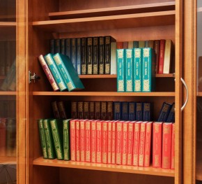 Шкаф для книг арт. 200 в Нягани - nyagan.mebel-74.com | фото