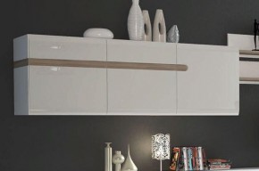 Шкаф навесной 3D/TYP 67, LINATE ,цвет белый/сонома трюфель в Нягани - nyagan.mebel-74.com | фото