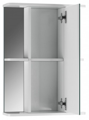 Шкаф-зеркало Норма 2-50 правый АЙСБЕРГ (DA1608HZ) в Нягани - nyagan.mebel-74.com | фото