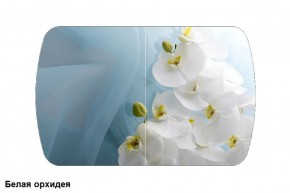 Стол Бостон 900*600 (опоры Брифинг) Стекло/фотопечать Белая Орхидея в Нягани - nyagan.mebel-74.com | фото