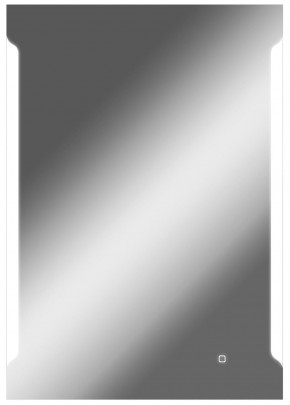 Зеркало Оттава 1000х700 с подсветкой Домино (GL7028Z) в Нягани - nyagan.mebel-74.com | фото